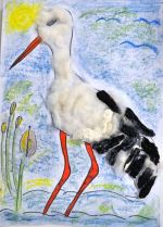 Petríková Karin.jpg